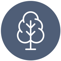 Tree icon